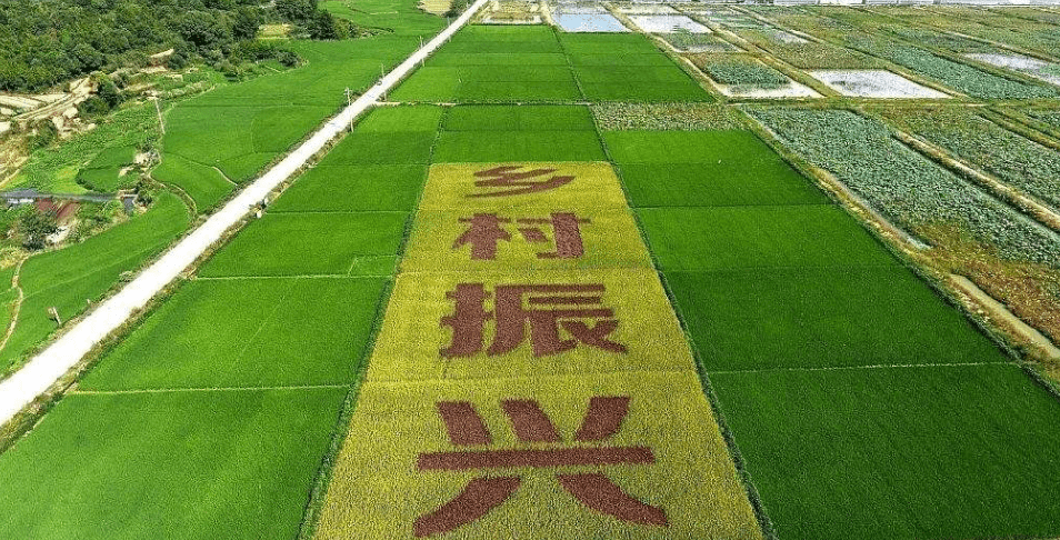 人民日?qǐng)?bào)“鄉(xiāng)村振興計(jì)劃”為何看上他？_直播_行業(yè)_農(nóng)產(chǎn)品